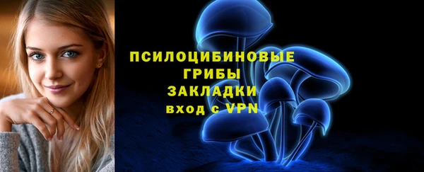 МДПВ Гусь-Хрустальный