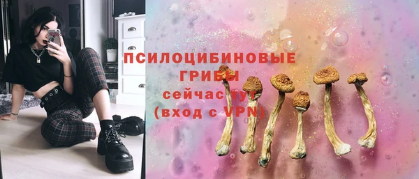 МДПВ Гусь-Хрустальный