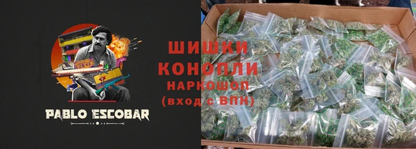 гидропоника Гусиноозёрск
