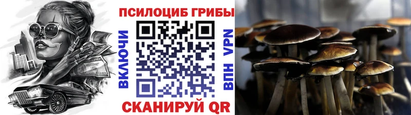 Галлюциногенные грибы Magic Shrooms Купить закладки Михайловск